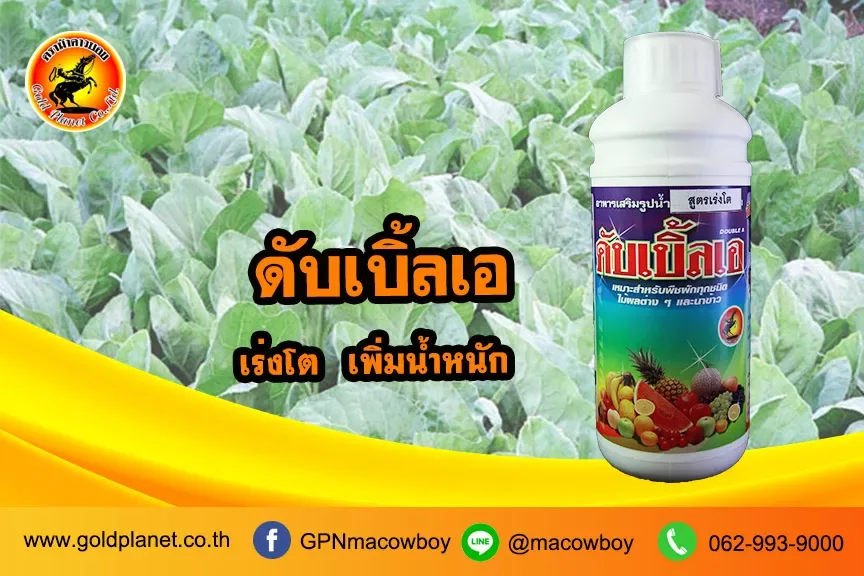 ดับเบิ้ลเอ