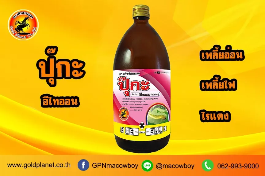 ปุ๊กะ (อีไทออน)