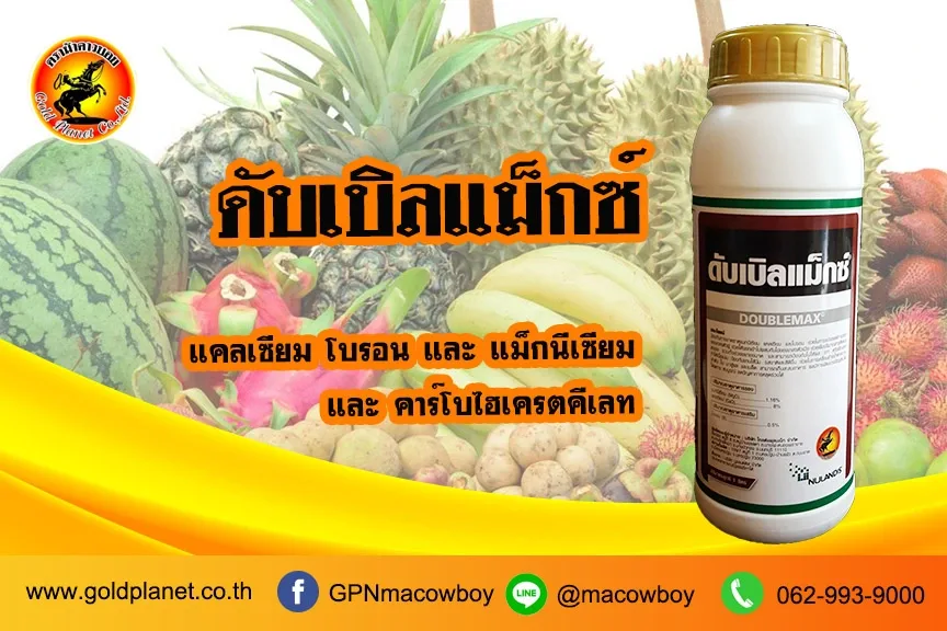 ดับเบิลแม็กซ์